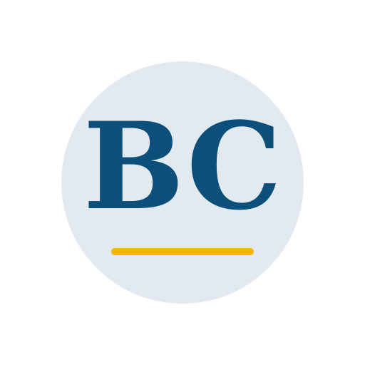 Brock Chimney Services logo